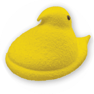 Yellow Chick