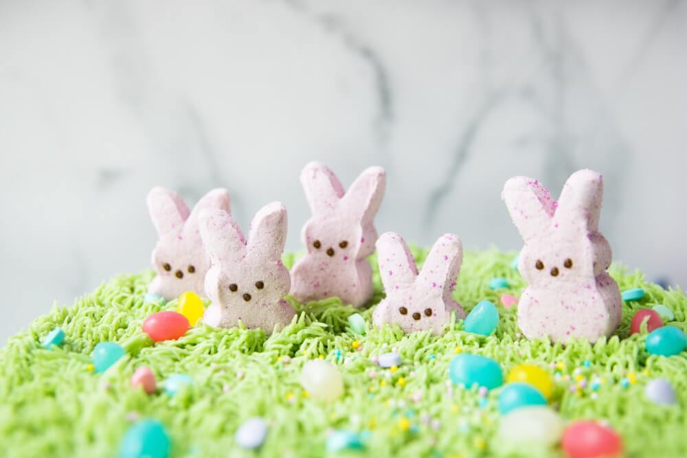 PEEPS<sup>®</sup> Wild Berry Flavored Cookie Cake